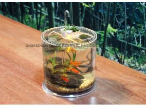 Χονδρικό Προσαρμοσμένο Clear Acrylic Fish Tank Πλαστικό Ενυδρείο